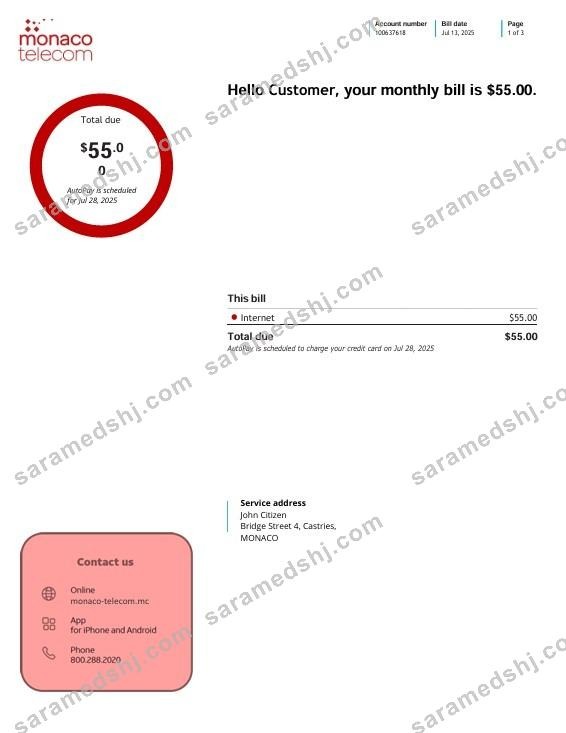 Monaco telecom internet utility bill, 3 pages